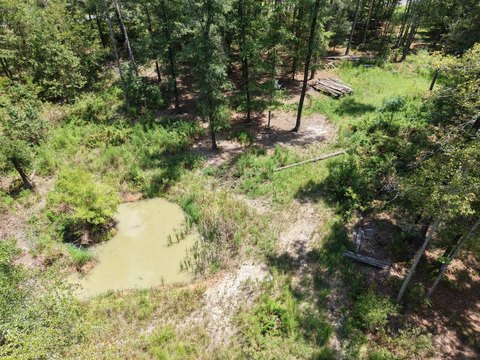 Land, Pineland, SC