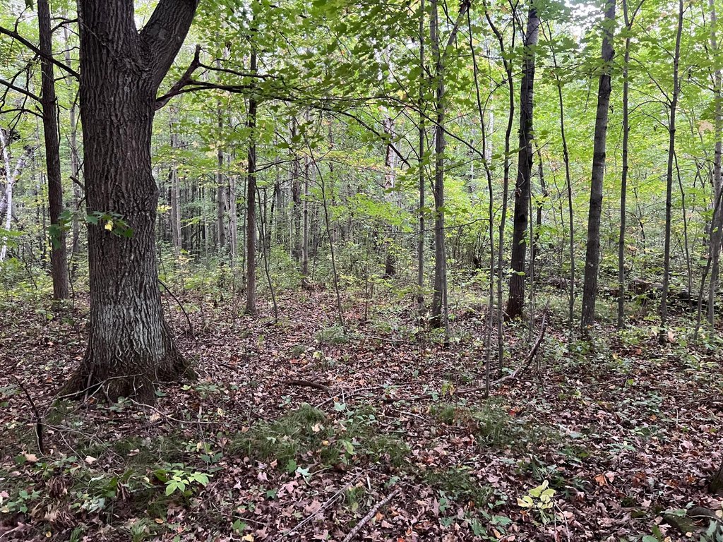 Picture 25