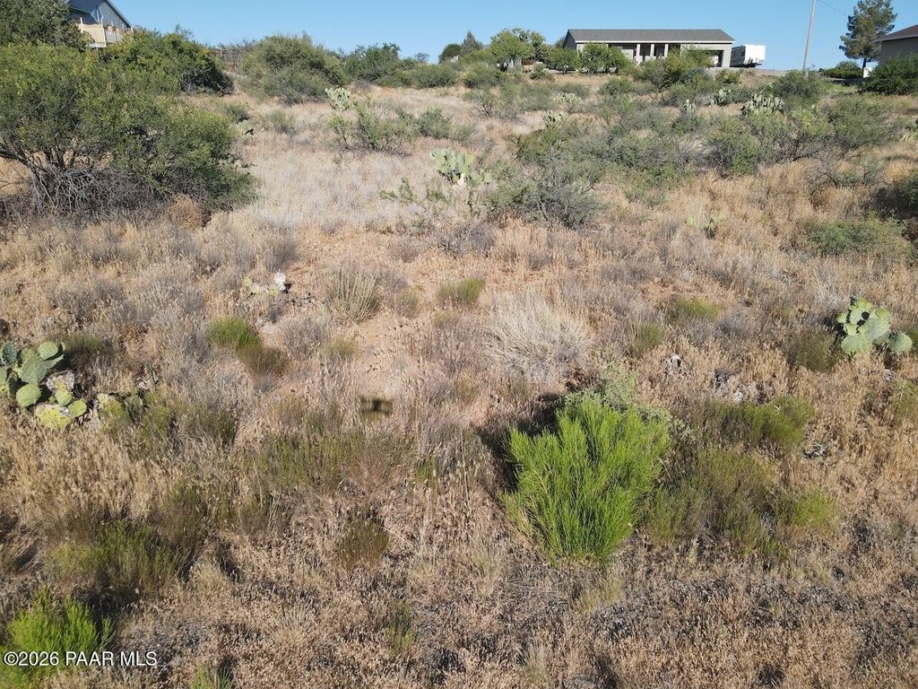 Picture 10