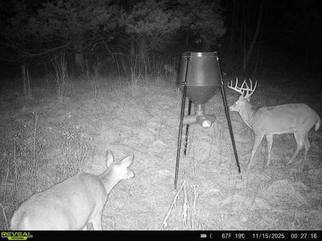 Picture 2