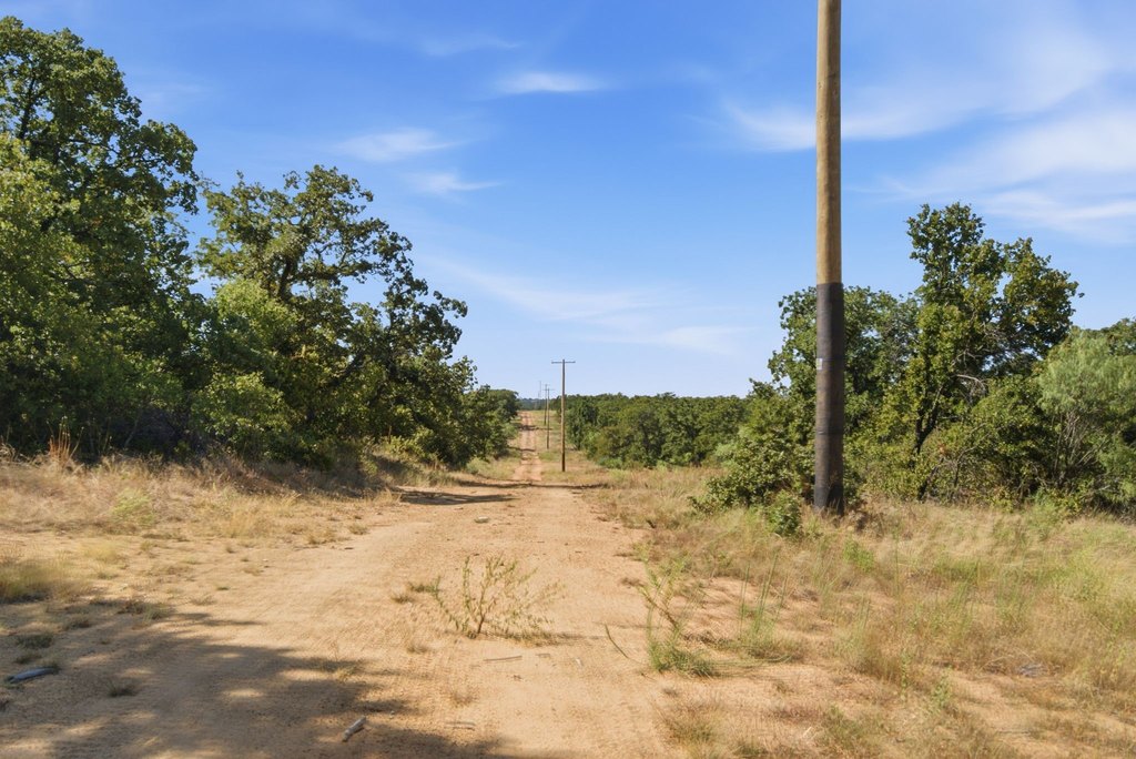 Picture 28