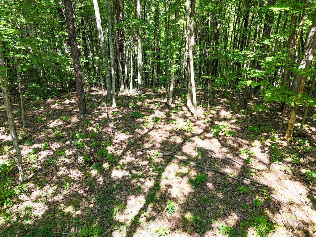 Picture 8