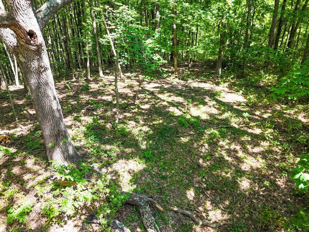 Picture 6