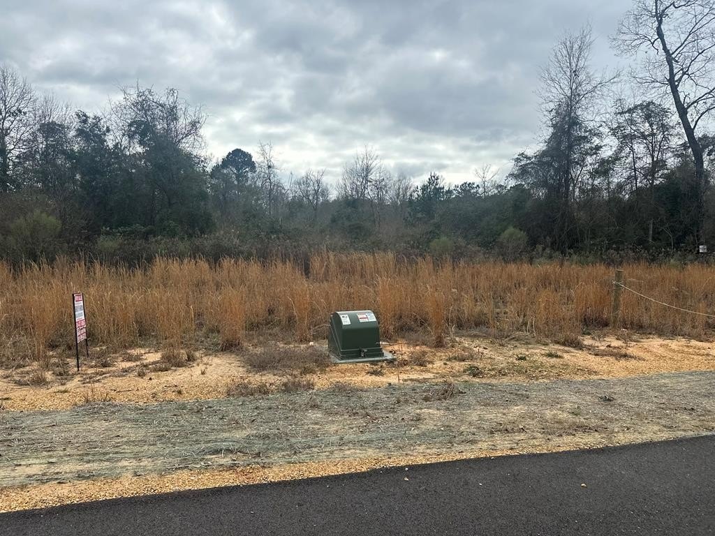 Ellisville Land in South Jones