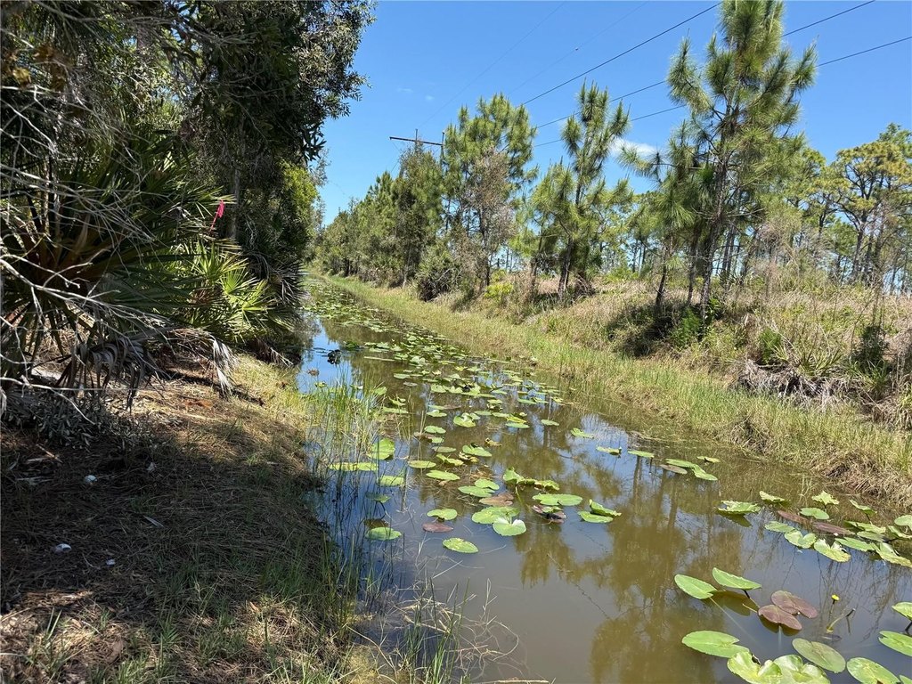 Picture 17