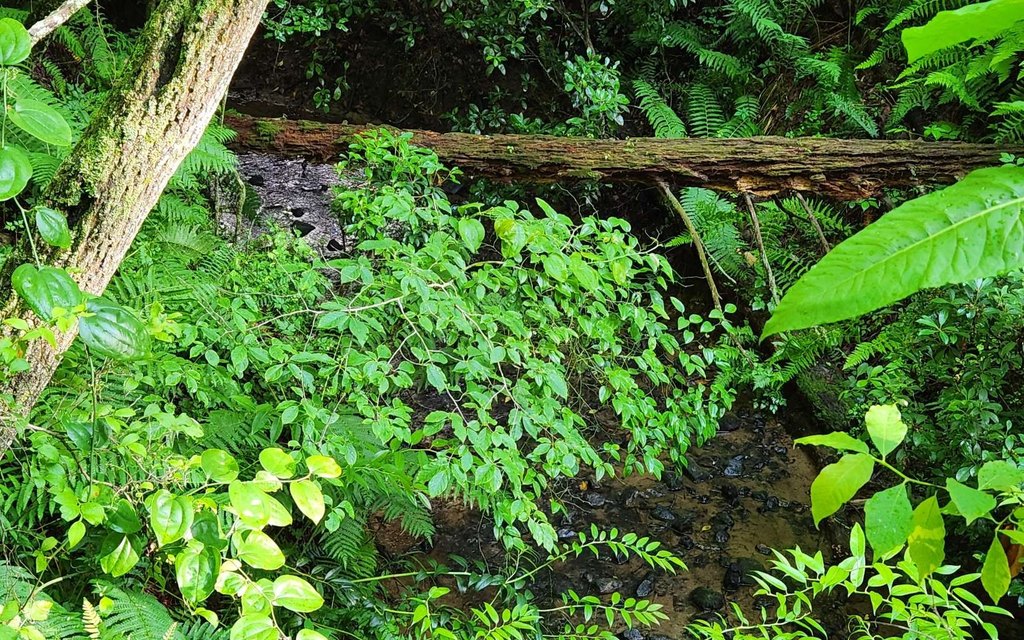 Picture 6