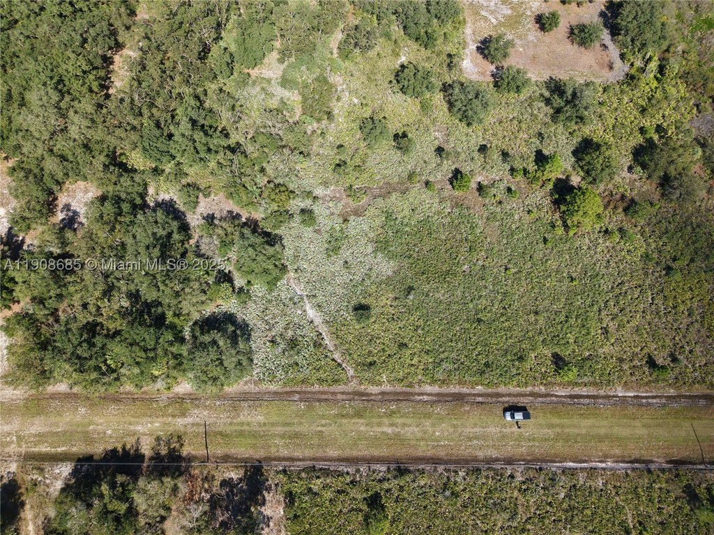 Picture 14