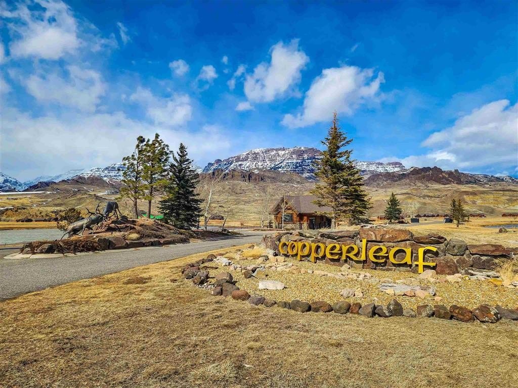 Picture 20