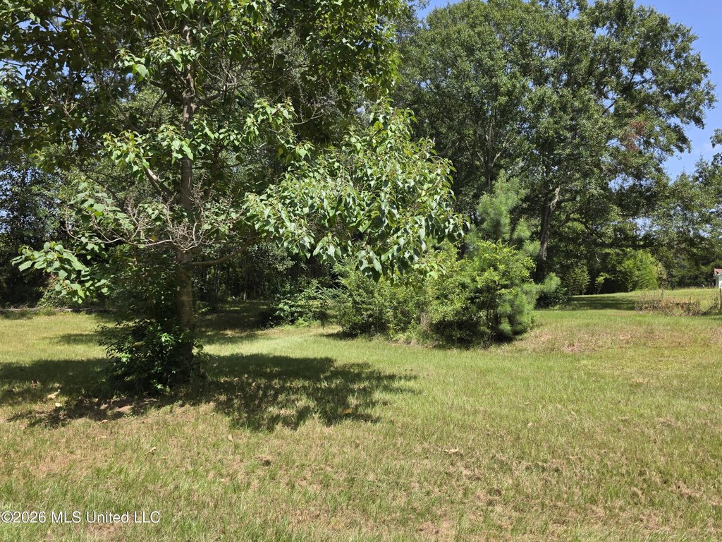 Picture 7