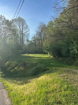 Gays Creek 19-Acre Lot