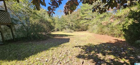 LAND/LOTS, SPRINGVILLE, AL