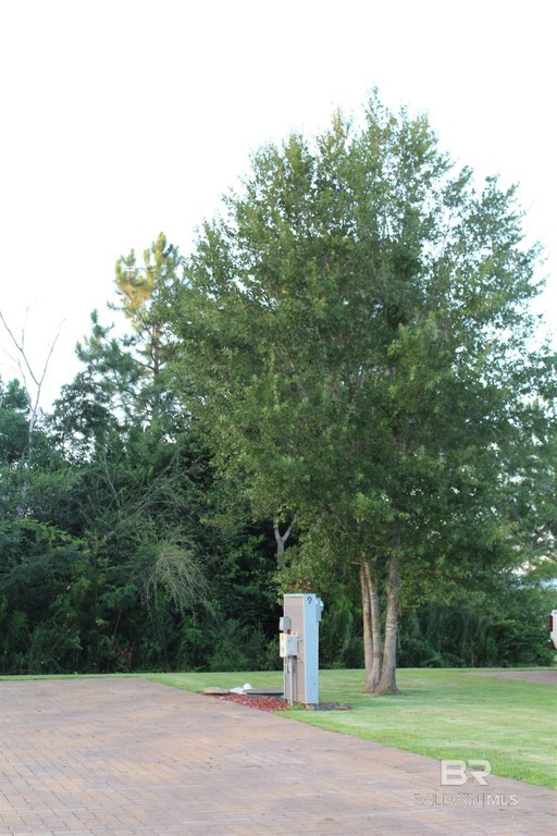 Picture 4