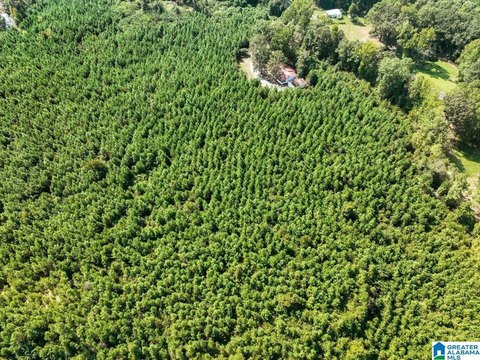 LAND/LOTS, JASPER, AL