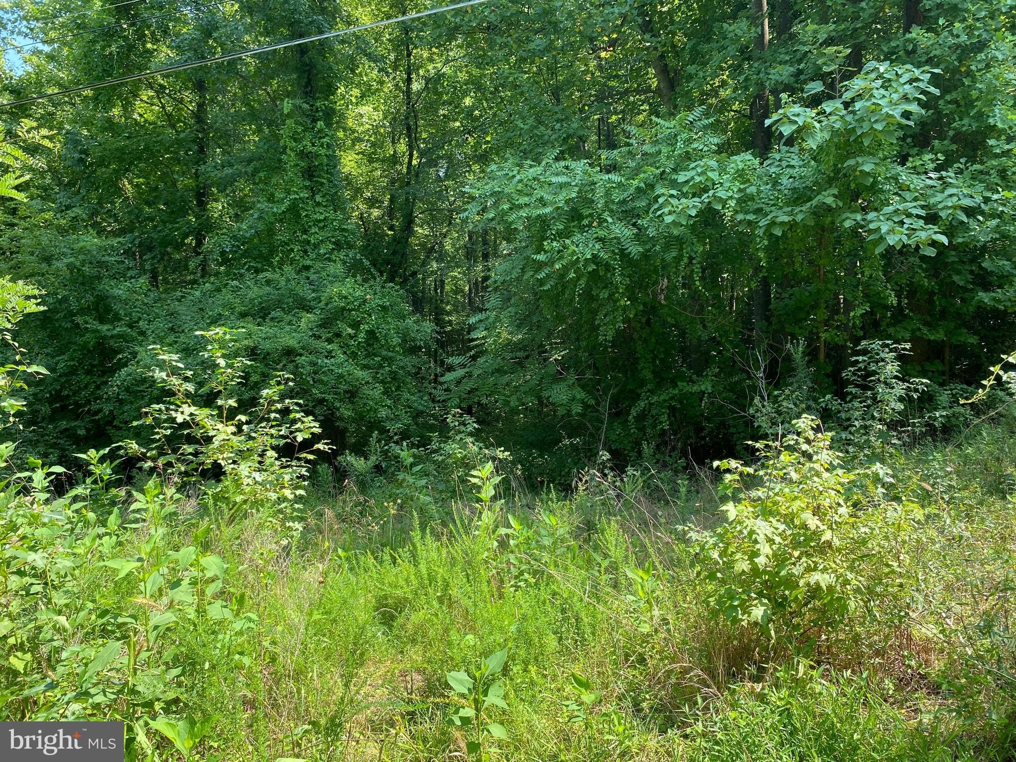 Residential Land Near Potomac River