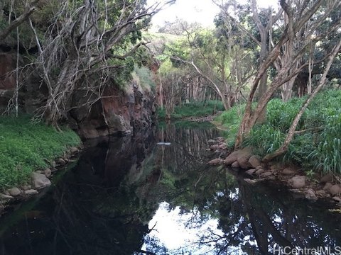 Haleiwa Land by Anahulu Stream