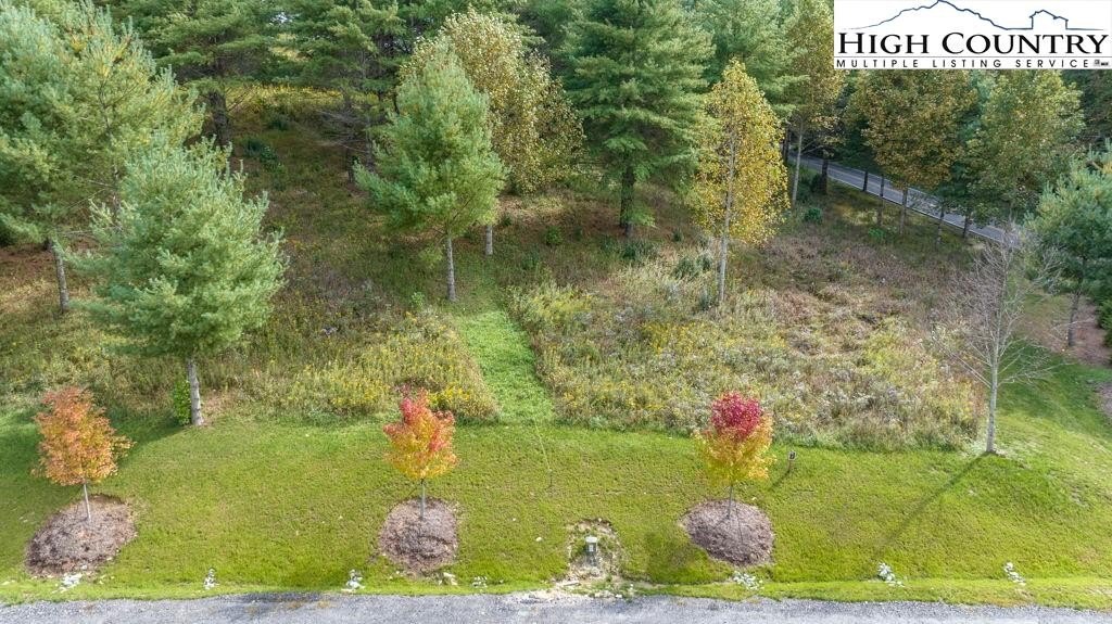 Serene Mountain Property in Spruce Pine