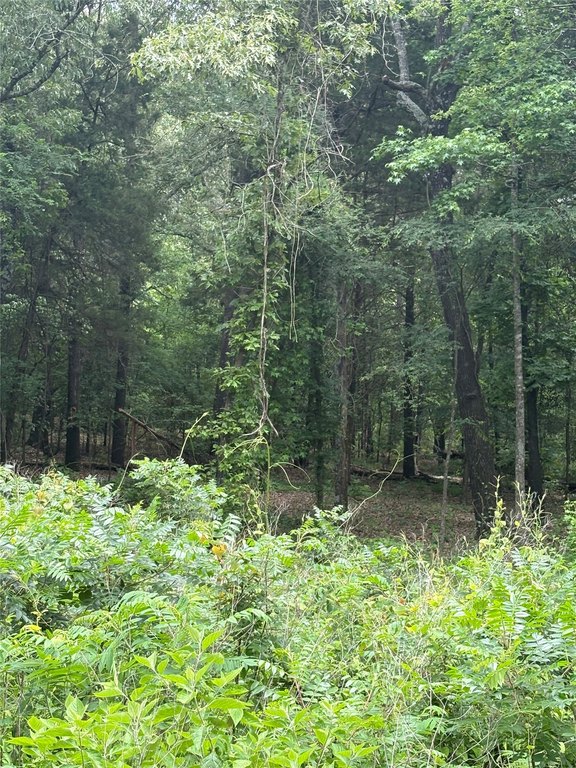Picture 5