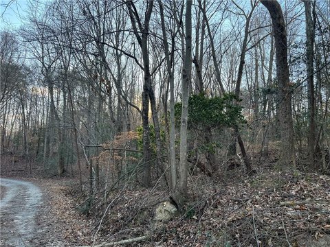 Mount Airy Land For Sale