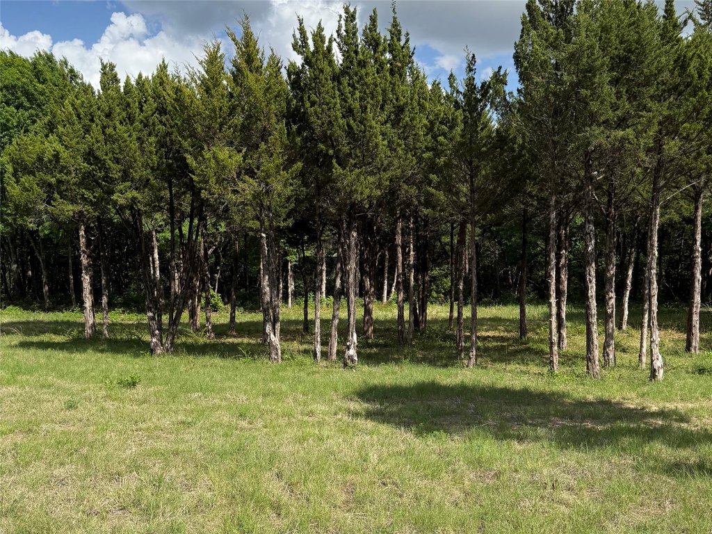 Picture 15