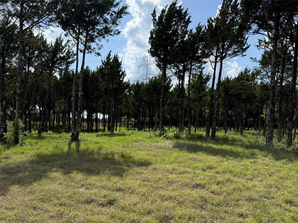 Picture 16