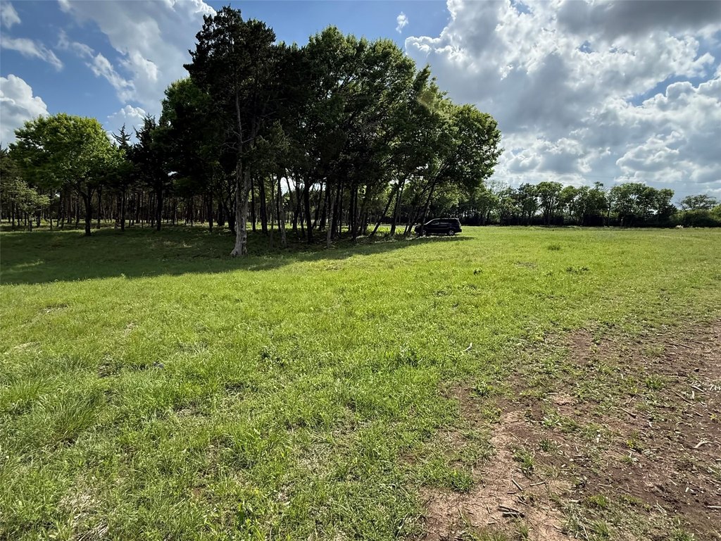 Picture 12