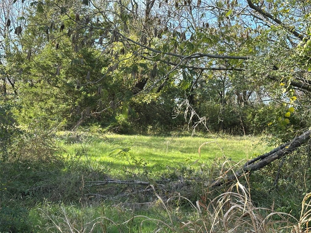 Picture 2