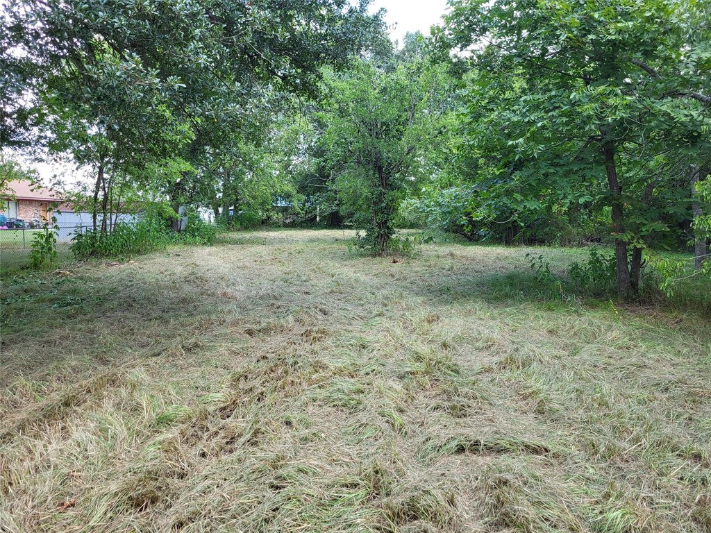 Picture 4