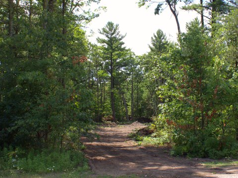 LAND - Twin Lake, MI
