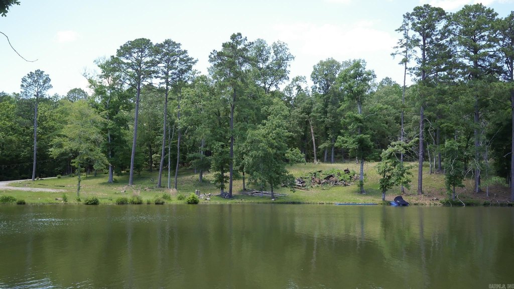 Picture 41