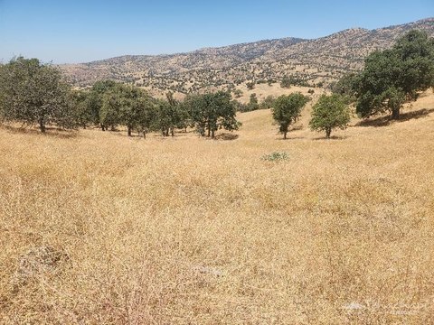 Land with Views in Tehachapi