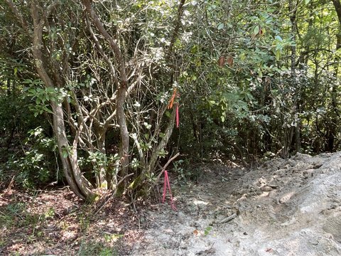 Etowah Vacant Land Opportunity
