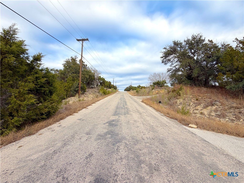 Picture 23