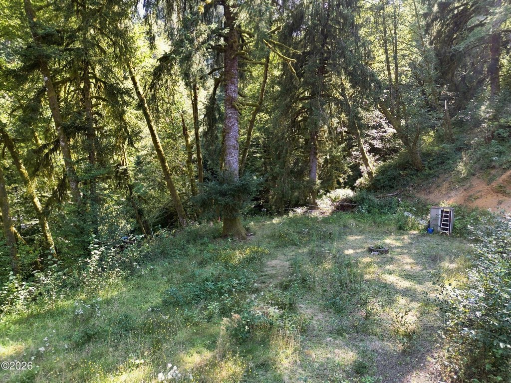 Picture 12