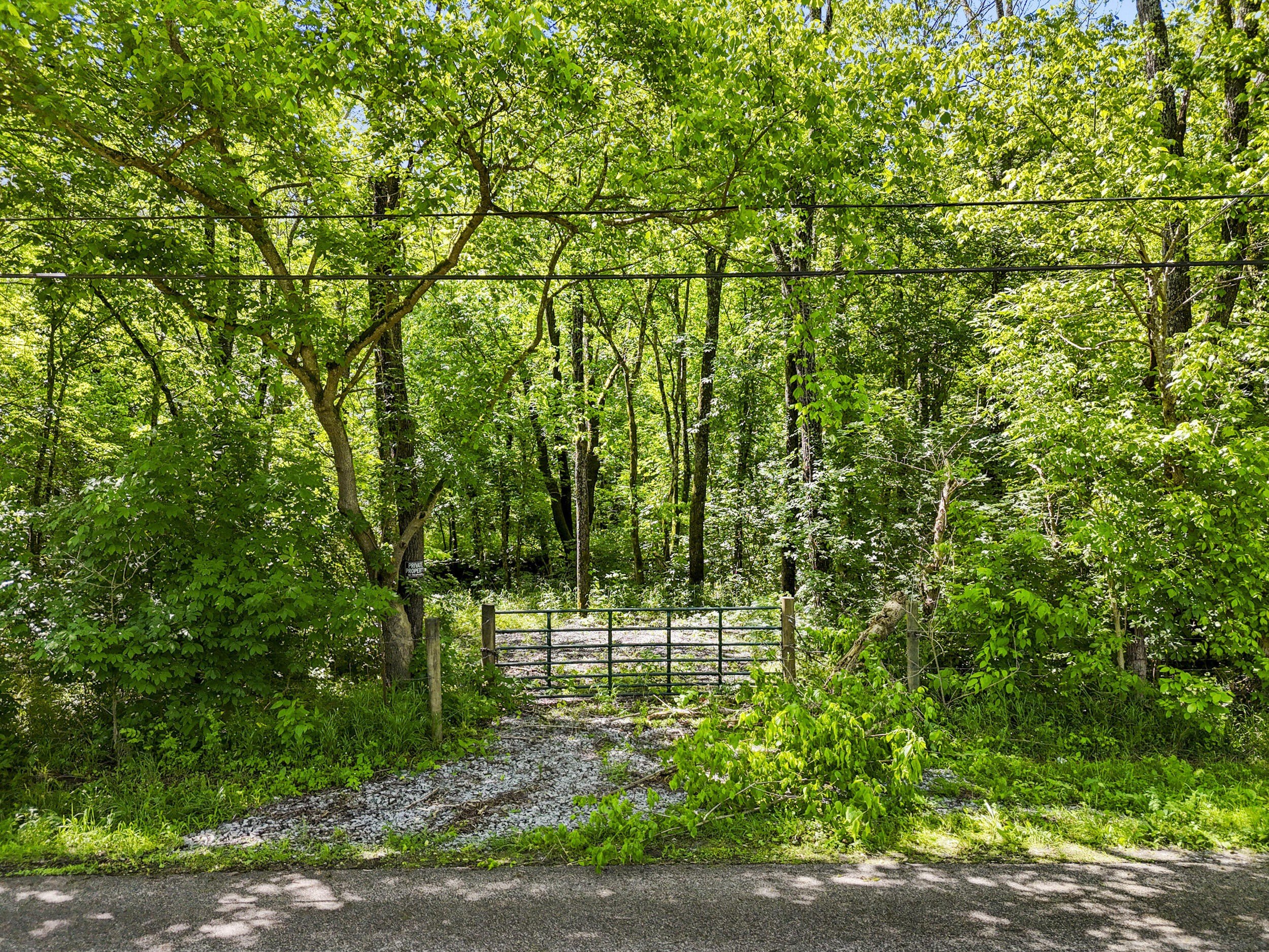 Kentucky Woodland: Development & Recreation