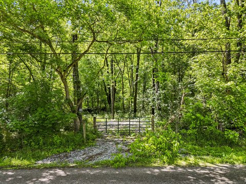 38 Acres of Kentucky Woodland