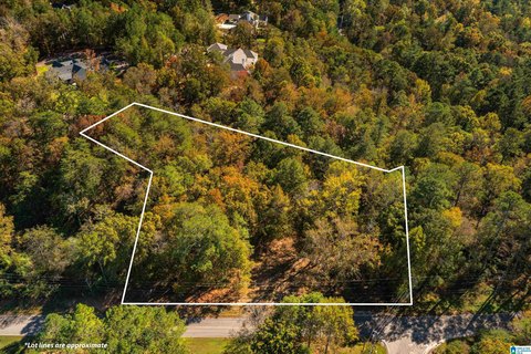 Vacant Lot in Irondale, AL