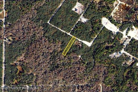 Land, Webster, FL