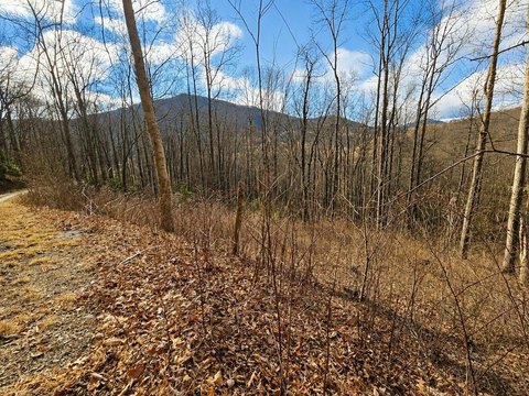 Waynesville Mountain Homesite Opportunity