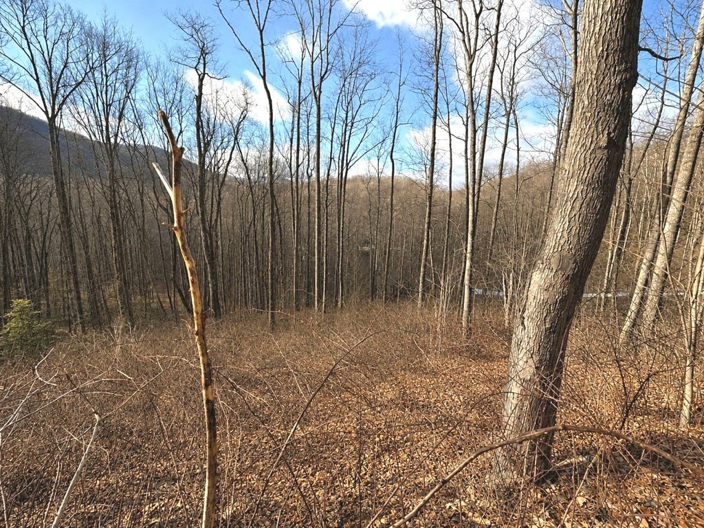 Picture 2