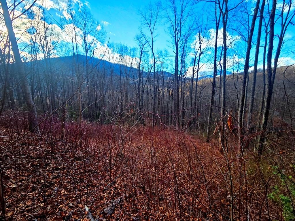 Waynesville Mountain Homesite Opportunity