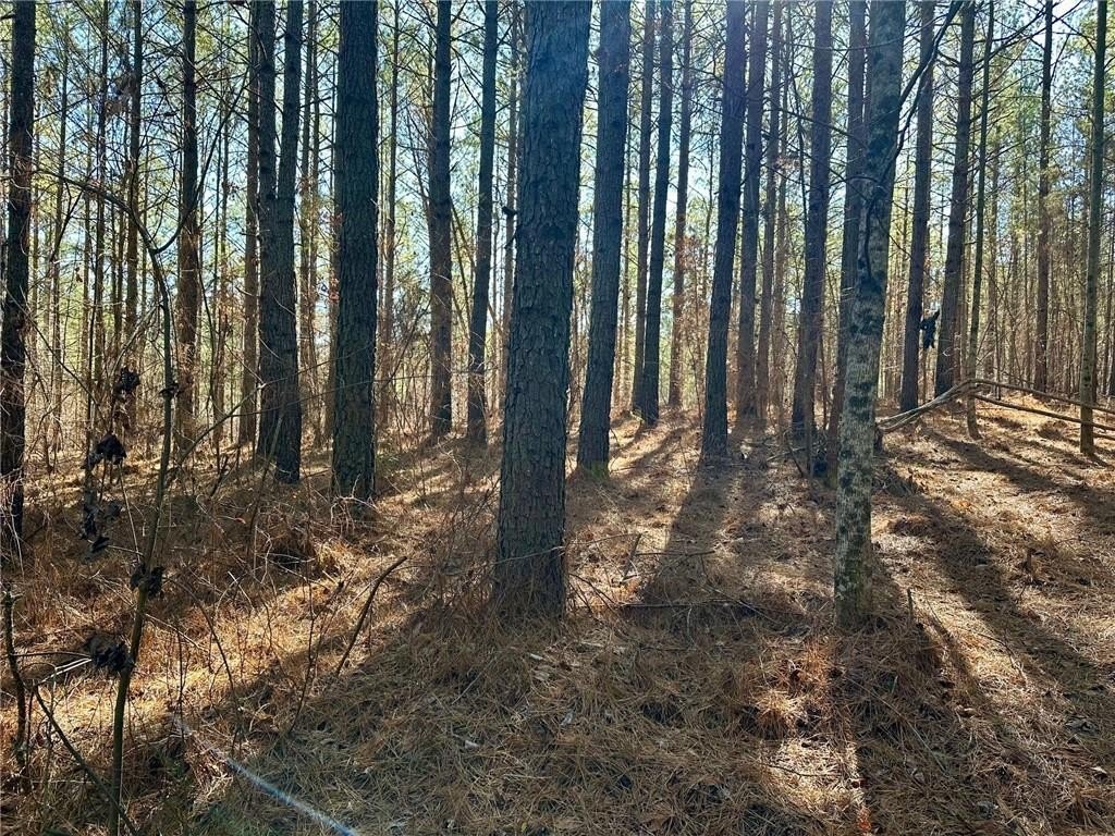 Picture 6