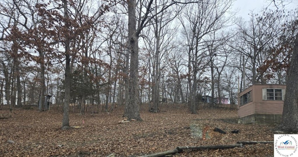 Picture 5