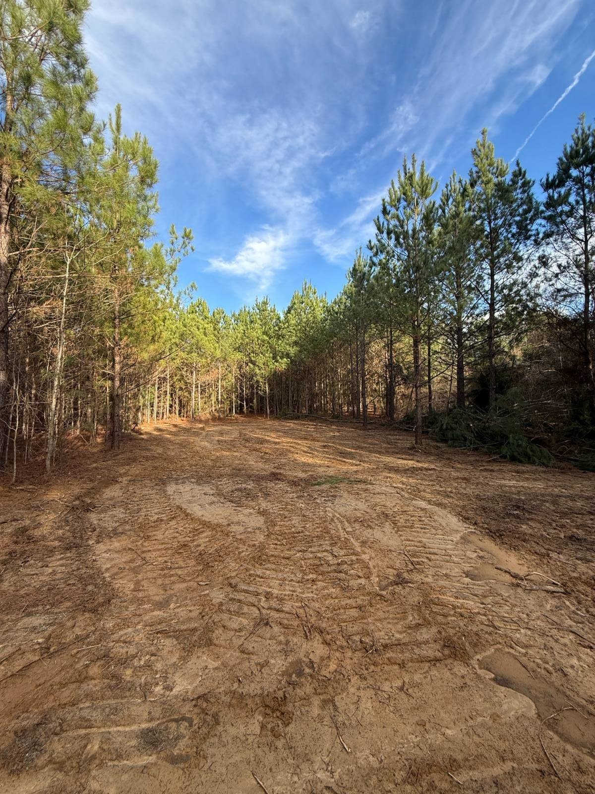 Versatile Land in Winston County
