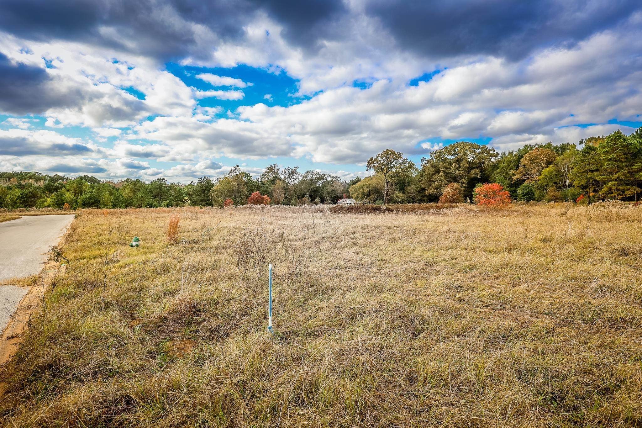 Residential Lots in Henderson, TX