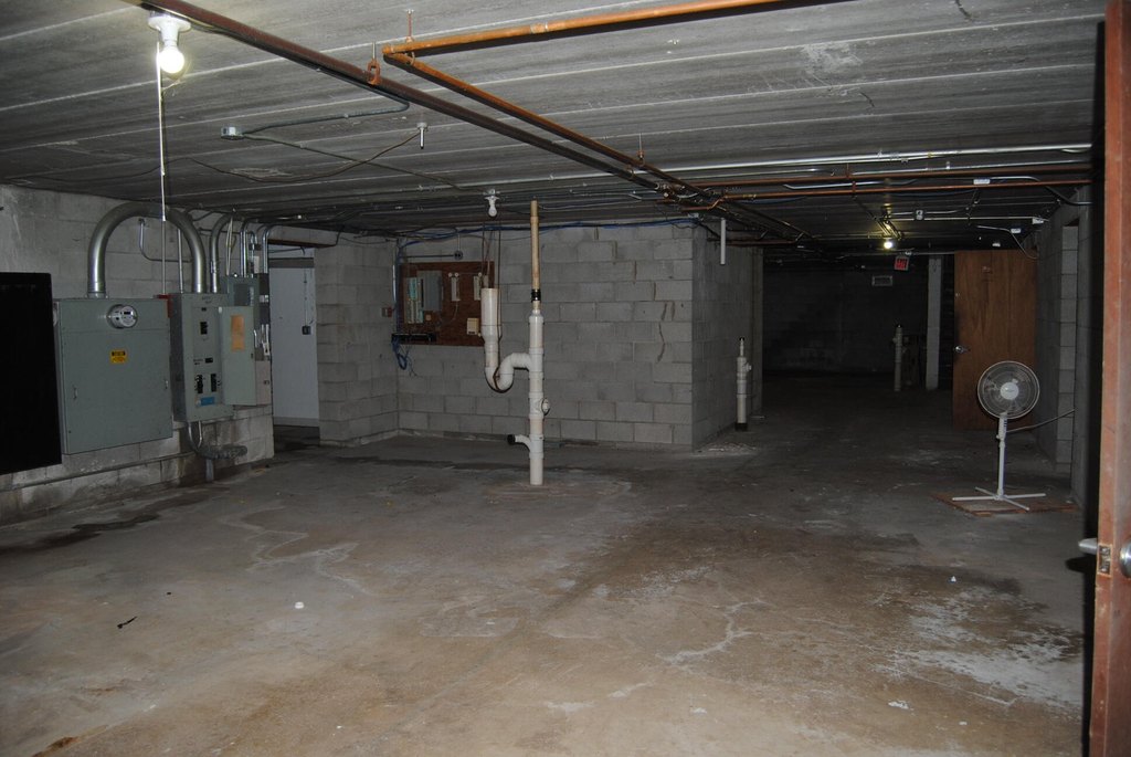 Picture 10