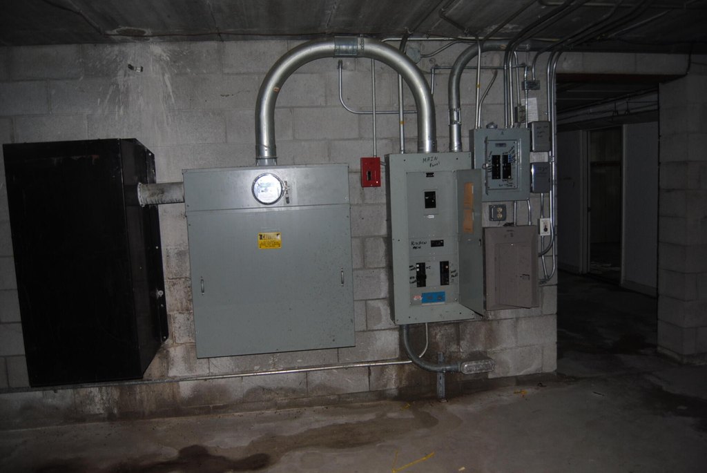 Picture 11