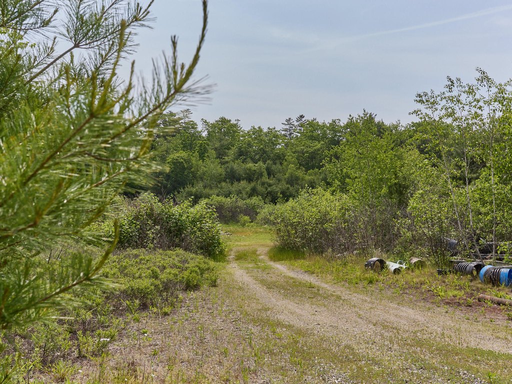 Picture 17