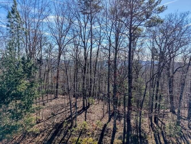 Blairsville GA Lake Access Lot