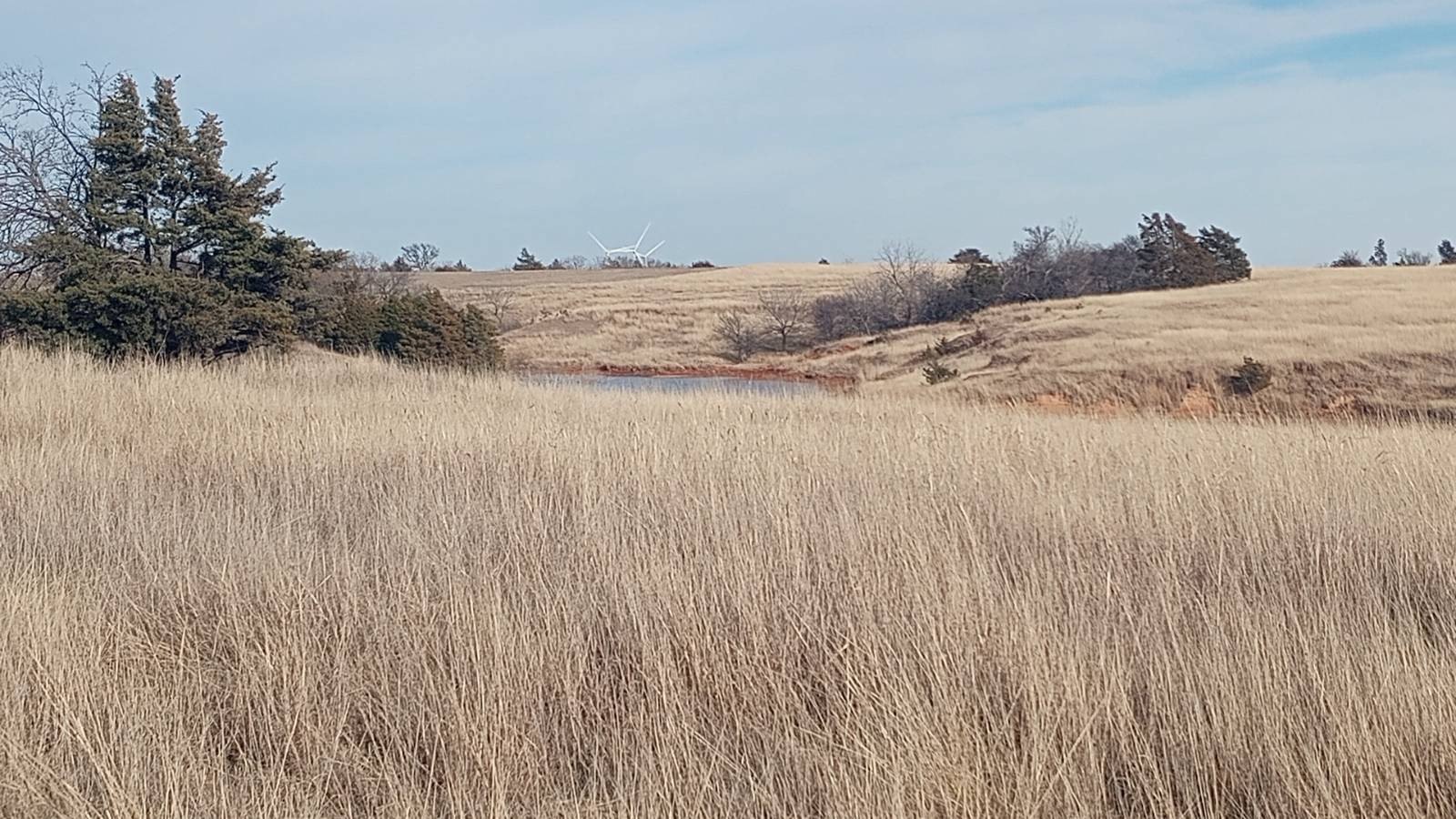 160 Acres Vacant Land