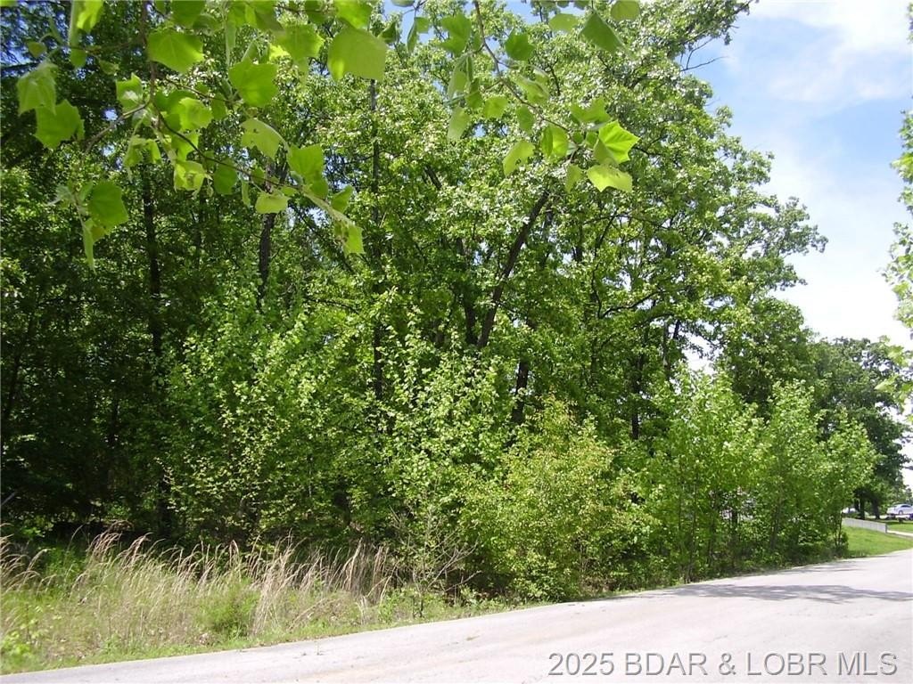 Camdenton, MO Building Lot
